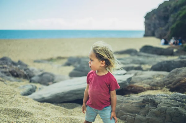 Pequeño Niño Está Disfrutando Día Verano Playa — Foto de Stock