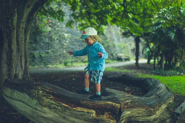 Petit Bambin Balance Sur Une Bûche Dans Parc — Photo
