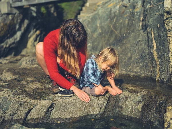 Una Madre Hijo Están Estudiando Una Piscina Rocas — Foto de Stock