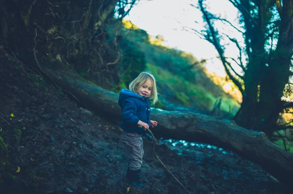 Kleine peuter staat in de modder bij een omgevallen boom in het bos — Stockfoto