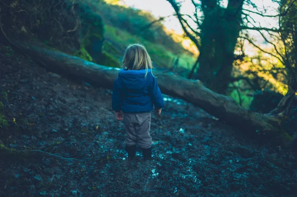 Ett litet barn som står i leran vid ett fallen träd i skogen — Stockfoto