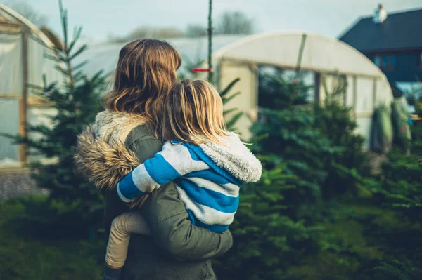 Νεαρή μητέρα κουβαλάει το παιδί της στη φάρμα με τα χριστουγεννιάτικα δέντρα — Φωτογραφία Αρχείου