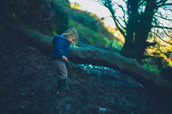 Küçük çocuk ormanda devrilmiş bir ağacın yanında çamurda duruyor. — Stok fotoğraf