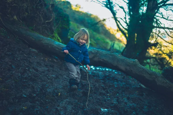 Petit bambin debout dans la boue près d'un arbre tombé dans les bois — Photo