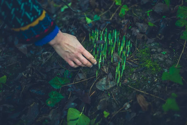 Hand of a woman touching spring flowers — Stock Photo, Image