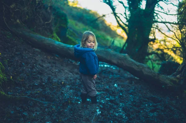 Kleine peuter staat in de modder bij een omgevallen boom in het bos — Stockfoto