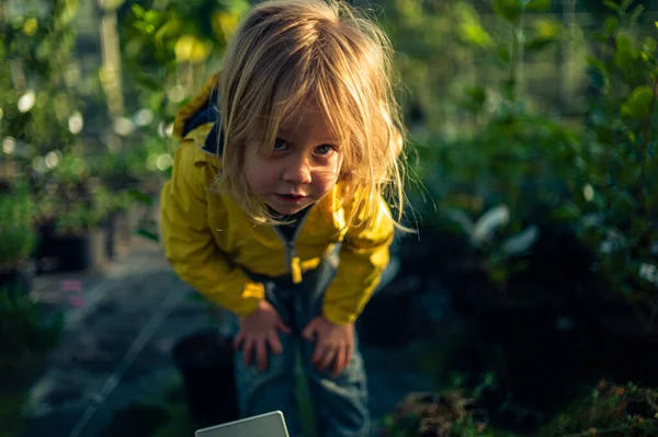 Маленький ребенок в окружении растений в центре сада — стоковое фото