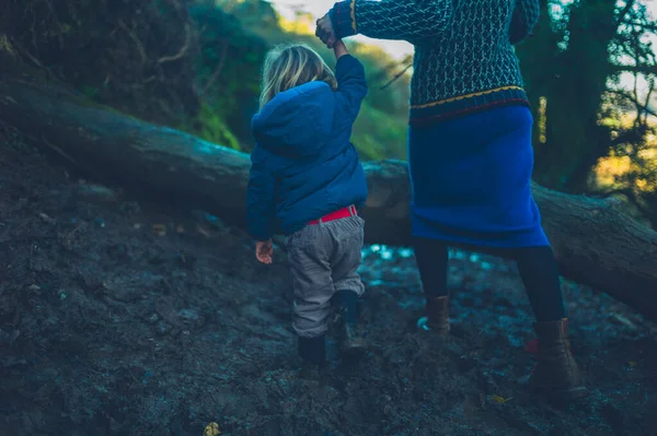 Mère et tout-petit grimpant sur un arbre tombé dans les bois — Photo