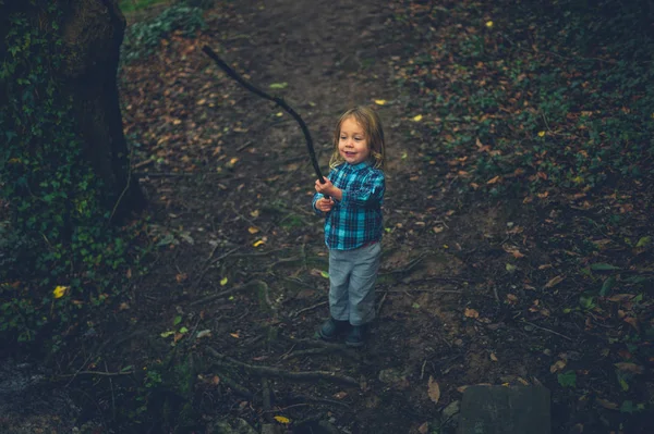 Egy Kisgyerek Áll Erdőben Egy Hosszú Bottal — Stock Fotó