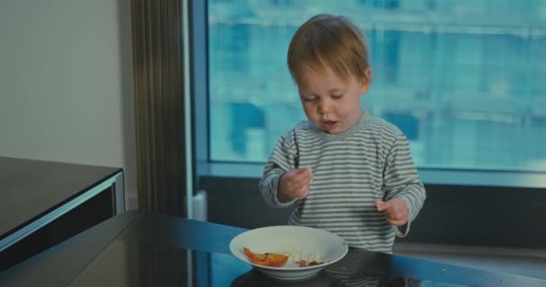Schattig jongetje eten lunch in de stad appartement — Stockvideo