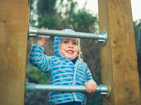 Kleine Kleuter Kind Klimmen Een Aantal Bars Van Een Calisthenics — Stockfoto