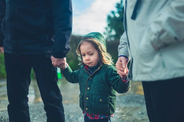 Pequeño Niño Edad Preescolar Está Caminando Mano Con Sus Abuelos — Foto de Stock