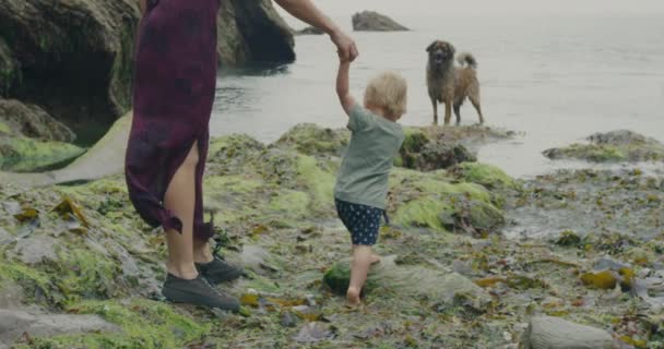 Ung Mor Och Hennes Småbarn Rastar Sin Hund Stenig Strand — Stockvideo