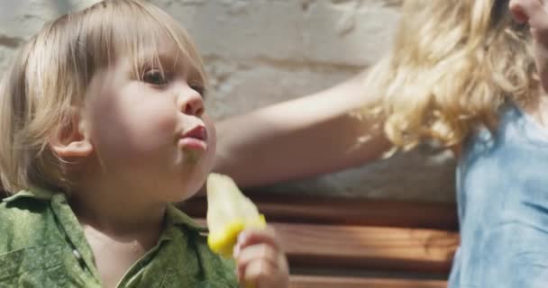 Nahaufnahmen Von Entzückenden Kleinen Kindern Die Eis Essen — Stockvideo