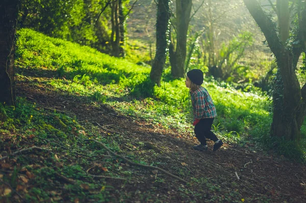 Petit Enfant Âge Préscolaire Marche Dans Les Bois Par Une — Photo