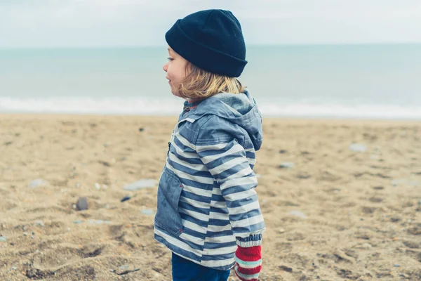 Liten Förskolebarn Leker Stranden Vintern — Stockfoto