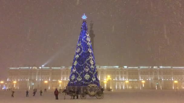 Nsanlar Tarafından Blizzard Noel Ağacı Meydanı — Stok video