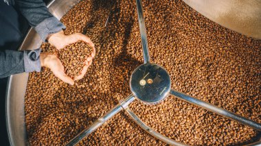 Kavrulmuş kahve çekirdekleri Holding erkek eller