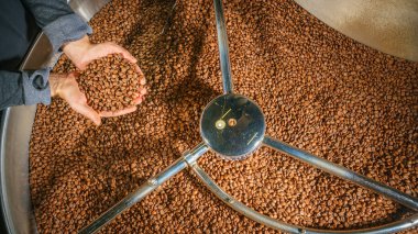 Kavrulmuş kahve çekirdekleri Holding erkek eller