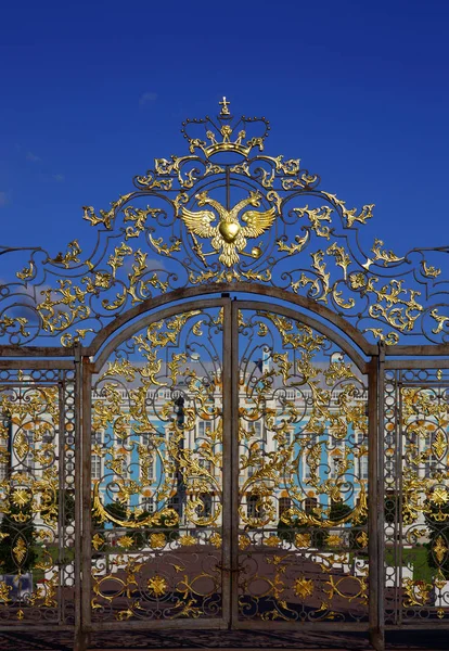 Porte Palais Catherine Tsarskoïe Selo Pouchkine Saint Pétersbourg Russie — Photo
