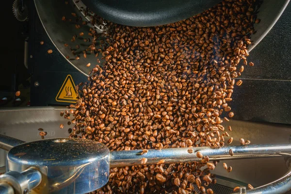 Stäng Kaffebryggare Sortering Och Rostning — Stockfoto