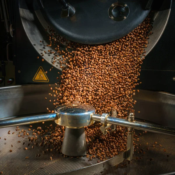 Utsikt Över Kaffebryggare Sortering Och Rostning — Stockfoto