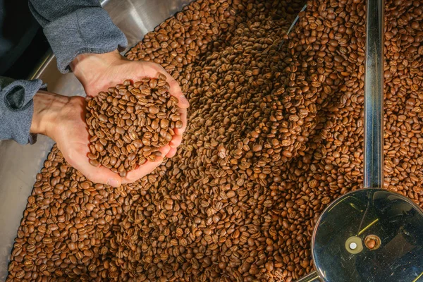 Manliga Händer Som Håller Rostade Kaffebönor — Stockfoto
