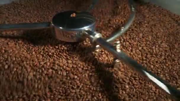 Vista Máquina Torrefação Café Processo Tecnológico — Vídeo de Stock