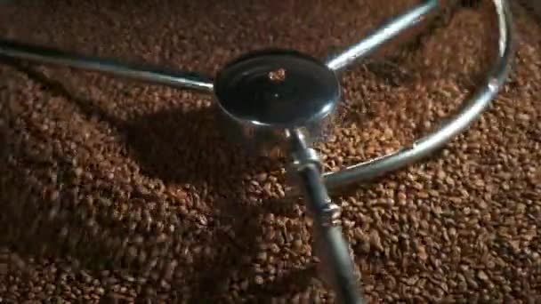 Observing View Coffee Roasting Machine Working Process — Stock Video