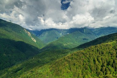 Yeşil yaprak döken ağaç bulutlar ile yüksek dağlarda havadan görünümü