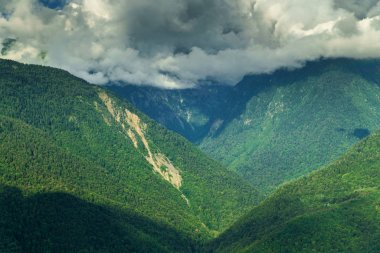 Yeşil yaprak döken ağaç bulutlar ile yüksek dağlarda havadan görünümü