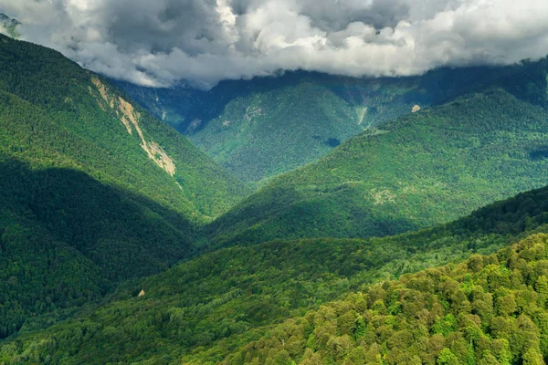 Yeşil yaprak döken ağaç bulutlar ile yüksek dağlarda havadan görünümü