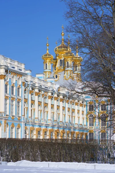 San Petersburgo Rusia Mar 2018 Palacio Catalina Tsarskoye Selo San —  Fotos de Stock