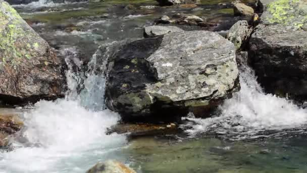 Schöner Gebirgsfluss Norwegen — Stockvideo