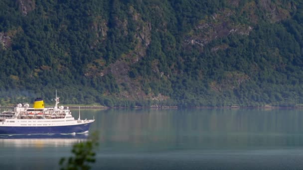 Sogne Fjord Norsko Jul 2013 Výletní Loď Pluje Lustrafjorden Červenec — Stock video