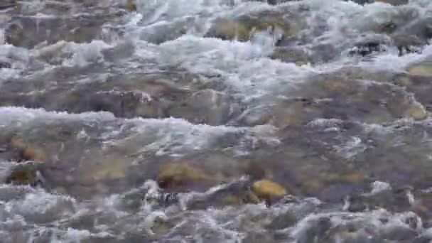 Bellissimo Fiume Montagna Norvegia — Video Stock