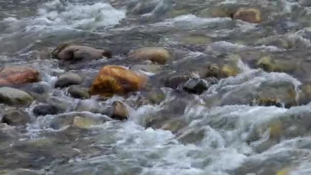 Magnifique Rivière Montagne Norvège — Video