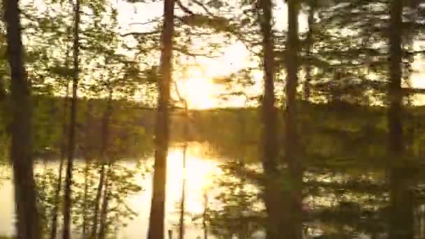 Car view of the sunset through the trees and the lake in 4k — Stock Video