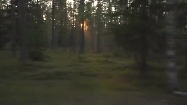 Car view van de zonsondergang door de bomen in 4k — Stockvideo