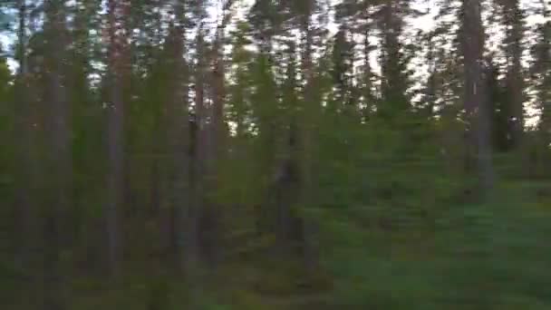 Widok samochodu wiejskiej drogi leśnej w 4k — Wideo stockowe