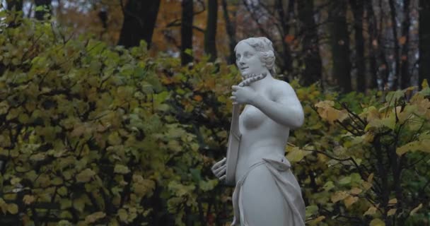 Estatuas de anticipo en el jardín de verano en San Petersburgo en 4k — Vídeos de Stock