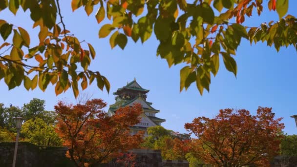 Osaka Castle park Oszakában, Japánban ősszel 4k — Stock videók