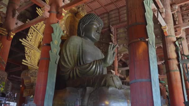 Нара, Японія - NOV 07, 2019: Храм Тодайджі з великою статуєю Будди в 4k — стокове відео