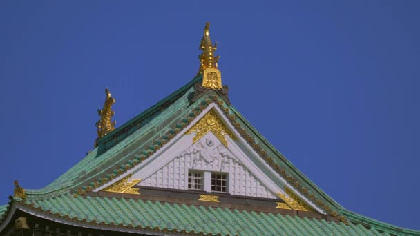 Parque del Castillo de Osaka en Osaka, Japón en otoño en 4k — Vídeos de Stock