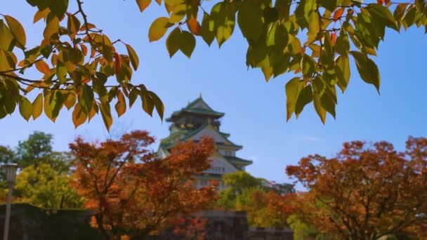 Osaka 'daki Osaka Kalesi Parkı, Japonya Sonbaharda 4K — Stok video