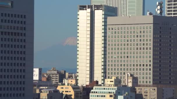 Yokohama, Japão - NOV 11, 2019: Panorama da cidade com Ferris Wheel e Fuji em 4k — Vídeo de Stock