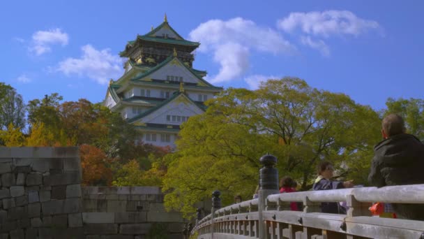 Osaka, Japonya - NOV 10, 2019: Sonbaharda Osaka Kalesi Parkı 4k — Stok video