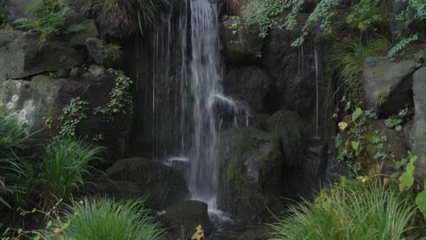 Forest waterfall in Japan with no people in 4k — Stock Video