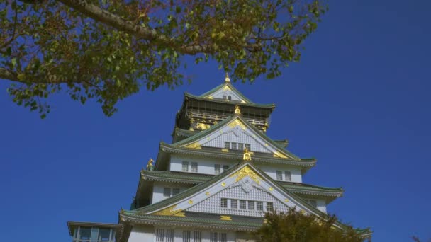 Osaka 'daki Osaka Kalesi Parkı, Japonya Sonbaharda 4K — Stok video