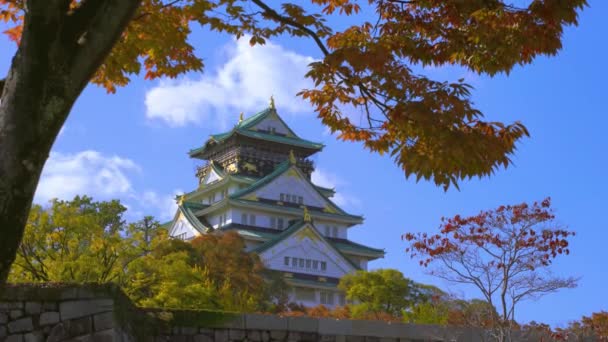 가을에 일본 오사카에 있는 오사카 성 공원 4k — 비디오